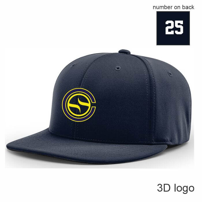 pts20 gamehat