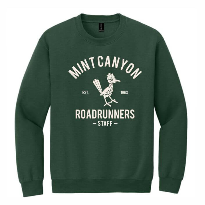 green crewneck sweatshrit